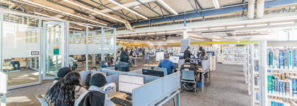 People working in single person cubicles.