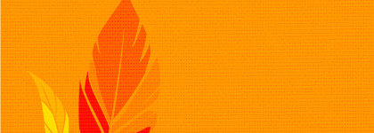 A red feather over an orange background.
