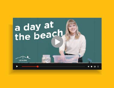 Thumbnail for A Day At the Beach video