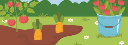 A garden scene with tomato plants, two carrots growing in the soil, and a blue bucket filled with red tulips, set against green bushes and a grassy field with small white flowers.