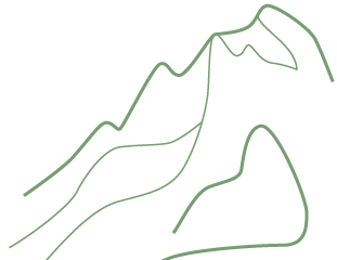 NIHM CallOutBack 310x240