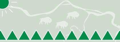 Indigenous booklist graphic of bison, a sun, and a row of green triangles on a pale green background.
