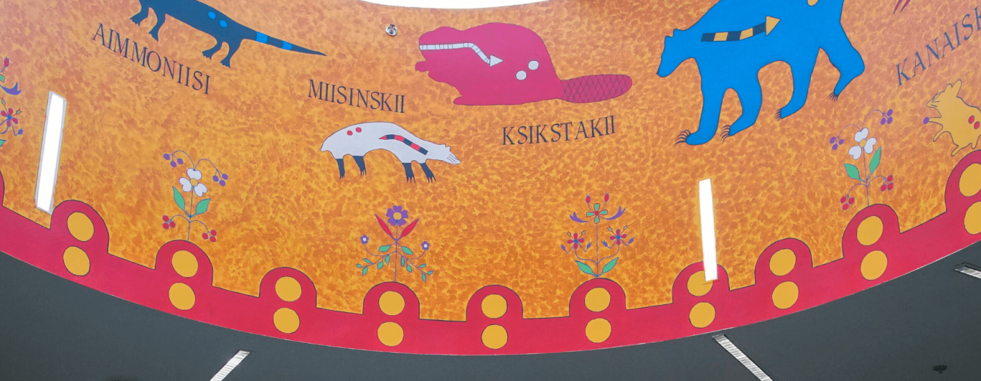 A colourful mural on a ceiling features a variety of animals, including a bear, beaver, and snake. Indigenous words label each animal, adding cultural significance to the artwork.