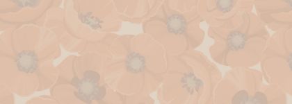 An image of red poppies