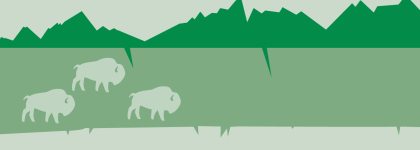 An illustration of drawn buffalos. The background has layers of colour: white, lime green and dark green, which are shaped like the mountains. The buffalos look like paper cutouts. caretakers of the land
