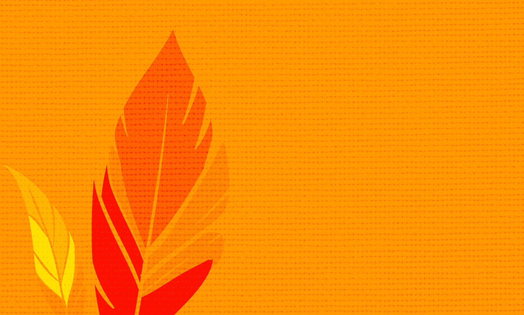 background image: Orange Feather banner