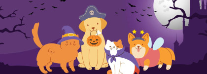 Four pets in Halloween costumes under a full moon, with bats flying across a spooky purple night sky.