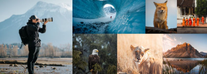 A collage of wildlife imagery and a person taking photographs in the mountains.